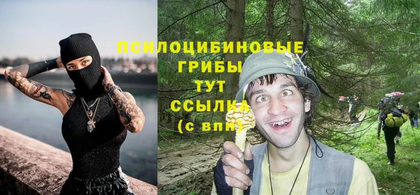 ешки Алексин