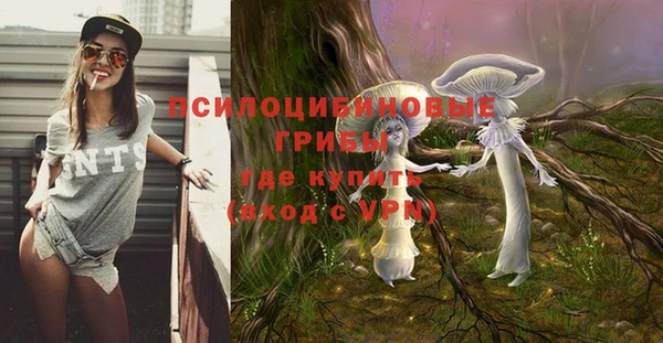 ешки Алексин